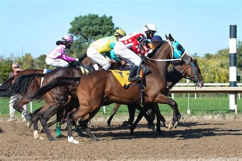 horse racing rules for jockeys|The role of jockeys in horse racing: Challenges, training, and race .